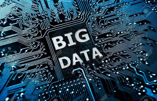 大数据赋能现代农业 小小蓝莓化身“发财果”的科技密码